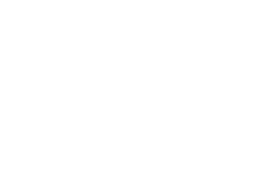 S2 Origin Logo